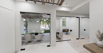 Zoom rooms, conference room and rentable executive suites
